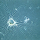 Inverted Biological Microscope